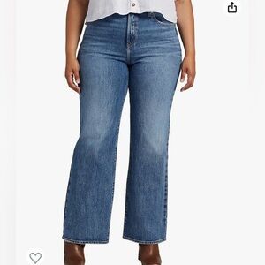 Silver Jeans Co. Womens Highly Desirable High Rise Trouser Leg Jeans Size 24